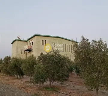 Golden Home Property Image