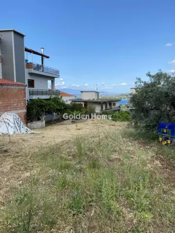 住宅 596m<sup>2</sup> for sale photo 4828775