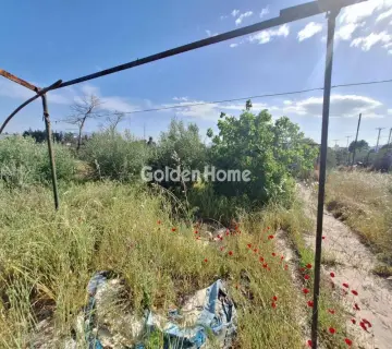 Residential 791m<sup>2</sup> for sale photo 4802128