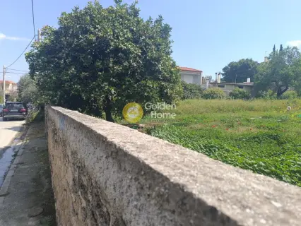 Residential 1500m<sup>2</sup> for sale photo 6