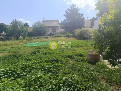 Residential 1500m<sup>2</sup> for sale photo 8