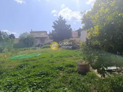 Residential 1500m<sup>2</sup> for sale photo 12