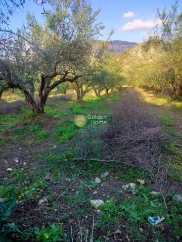 Οικιστικό 576τ.μ. προς πώληση φωτογραφία 6