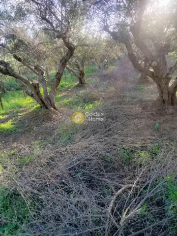 Οικιστικό 586τ.μ. προς πώληση φωτογραφία 4782605