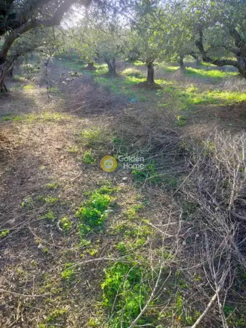 Οικιστικό 586τ.μ. προς πώληση φωτογραφία 4782606