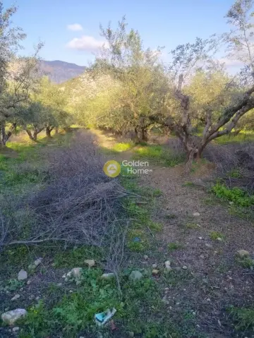 Οικιστικό 586τ.μ. προς πώληση φωτογραφία 4782629