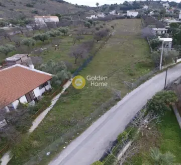 Residential 1228m<sup>2</sup> for sale photo 2
