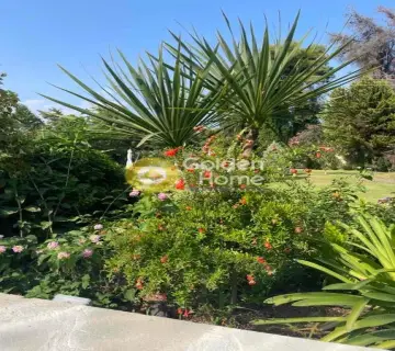 Golden Home Property Image