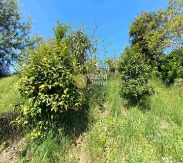 住宅 531m<sup>2</sup> for sale photo 4782500
