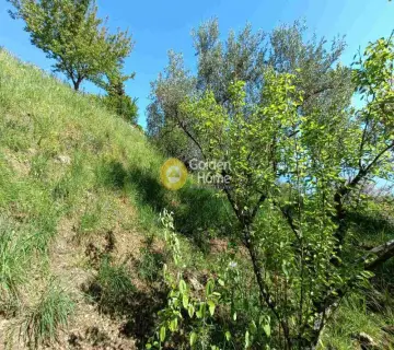 住宅 531m<sup>2</sup> for sale photo 4782516
