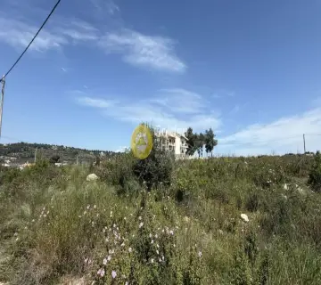 Οικιστικό 1000τ.μ. προς πώληση φωτογραφία 4782559