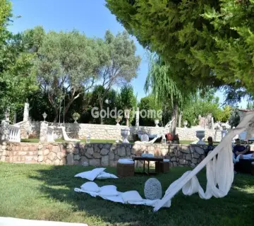 Golden Home Property Image