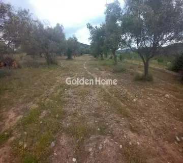 Parcel 18500m<sup>2</sup> for sale photo 4801475