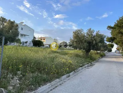 住宅 884m<sup>2</sup> for sale photo 4787108