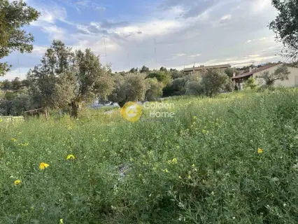 住宅 884m<sup>2</sup> for sale photo 4787109