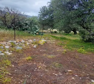 Residential 521m<sup>2</sup> for sale photo 1