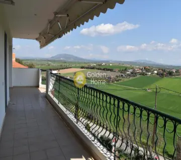 Independent Maisonette 270m<sup>2</sup> for sale photo 25
