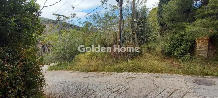 住宅 336m<sup>2</sup> for sale photo 1