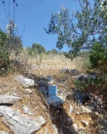 Residential 1040m<sup>2</sup> for sale photo 5551361