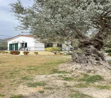 Μονοκατοικία 80τ.μ. προς πώληση φωτογραφία 69