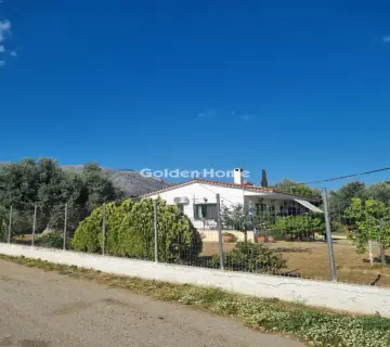 Golden Home Property Image