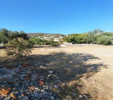 Residential 843m<sup>2</sup> for sale photo 4894233
