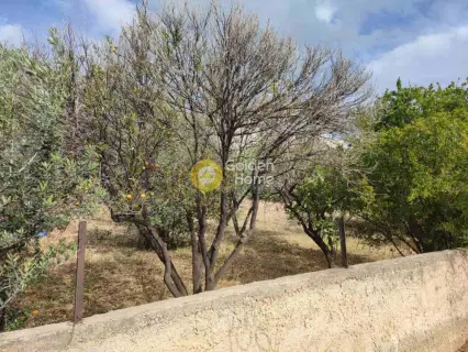 Residential 1094m<sup>2</sup> for sale photo 4791009