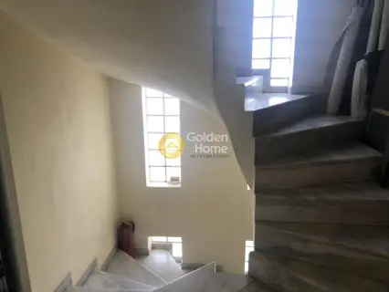 Επαγγελ. Οικόπεδο 6500τ.μ. προς πώληση φωτογραφία 16