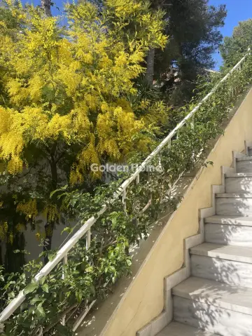 Μονοκατοικία 260τ.μ. προς πώληση φωτογραφία 62