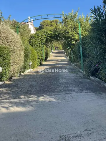 独立复式小屋 320m<sup>2</sup> for sale photo 5401322