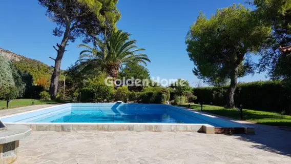 独立复式小屋 320m<sup>2</sup> for sale photo 5401317