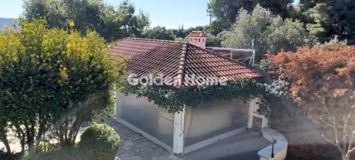 独立复式小屋 320m<sup>2</sup> for sale photo 5401319