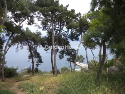 Residential 536m<sup>2</sup> for sale photo 4795429