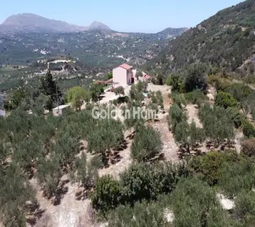 Golden Home Property Image