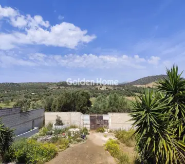 Μονοκατοικία 243τ.μ. προς πώληση φωτογραφία 3