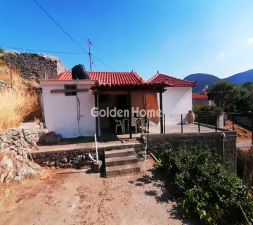 Golden Home Property Image