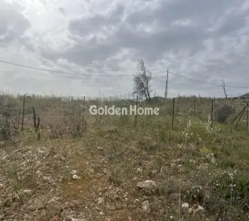 Οικιστικό 501τ.μ. προς πώληση φωτογραφία 4806507