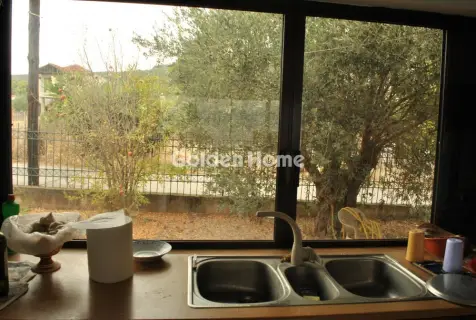 House 246m<sup>2</sup> for sale photo 4
