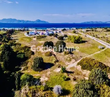 Professional Plot 19200m<sup>2</sup> for sale photo 4801409