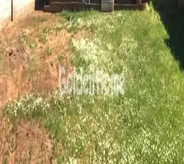 Επαγγελ. Οικόπεδο 580τ.μ. προς πώληση φωτογραφία 1