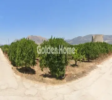 Golden Home Property Image
