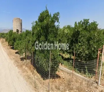 Golden Home Property Image