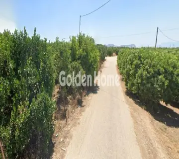 Golden Home Property Image