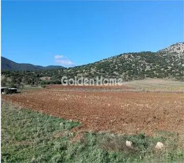Parcel 8465m<sup>2</sup> for sale photo 4805943