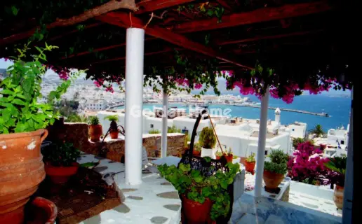 Golden Home Property Image