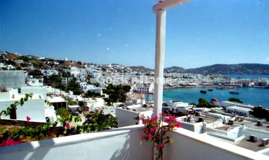 Golden Home Property Image