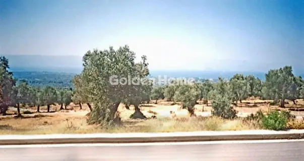 住宅 502m<sup>2</sup> for sale photo 4810090