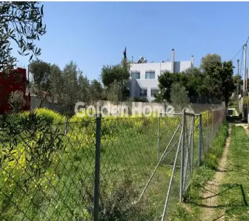 Residential 980m<sup>2</sup> for sale photo 4828405