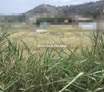 Οικιστικό 5500τ.μ. προς πώληση φωτογραφία 2