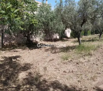 Αγροτεμάχιο 4000τ.μ. προς πώληση φωτογραφία 4857143
